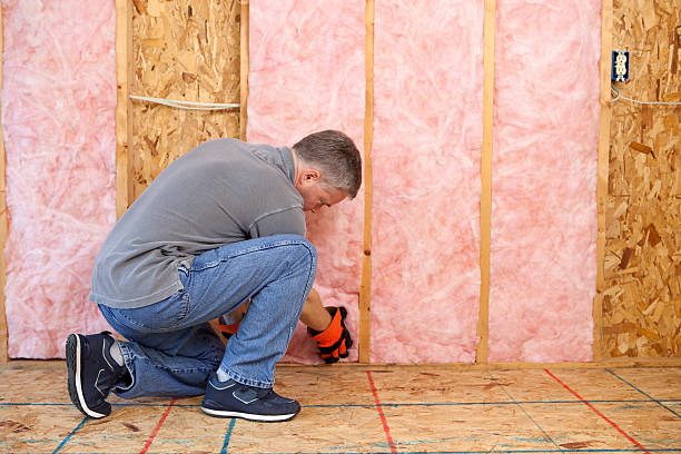 Best Types of Insulation in Leon Valley, TX