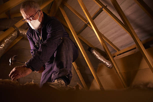 Best Insulation Installation Services in Leon Valley, TX
